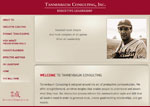 Tannenbaum Consulting